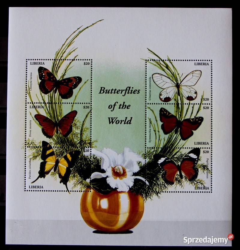 Liberia motyle 1 Oborniki