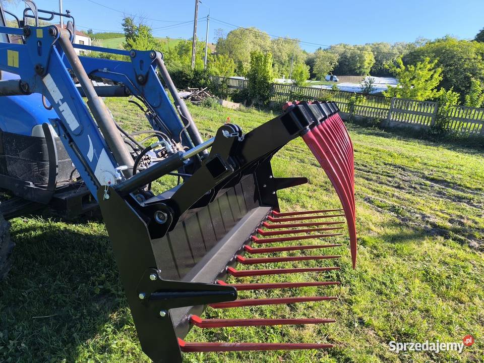 Krokodyl kute zęby sms euro ciężki Łomża