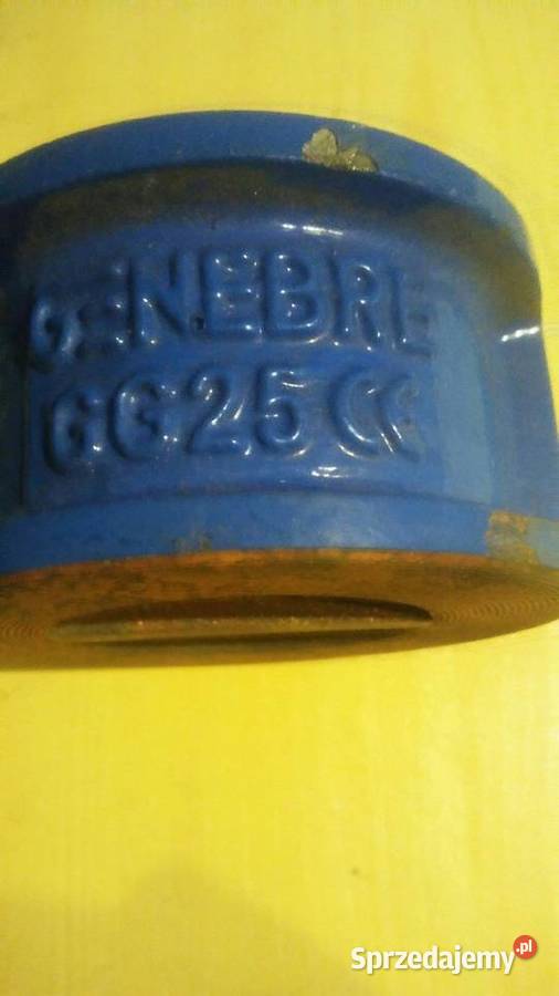 Zawor zwrotny Grzebienisko