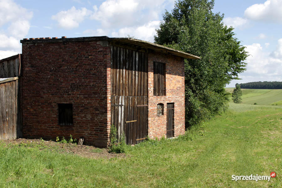 Dom Zajączki Drugie Parcele gm Krzepice pow Kłob Liczba pokoi 3 Krzepice
