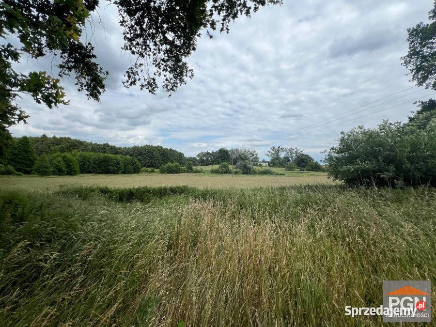 Działka 7300m2 Ościęcin Sprzedaż