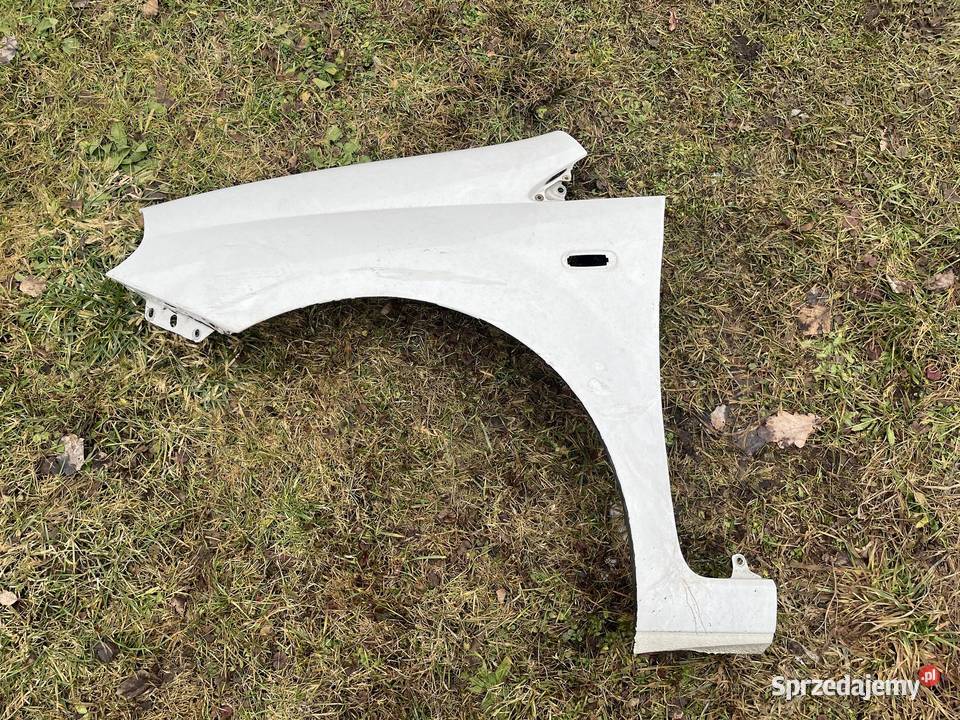 Błotnik lewy przód Fiat Grande Punto Hatchback Błotniki małopolskie