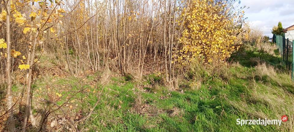 3 działki z MPZP w Wychowie k Luzina Sychowo