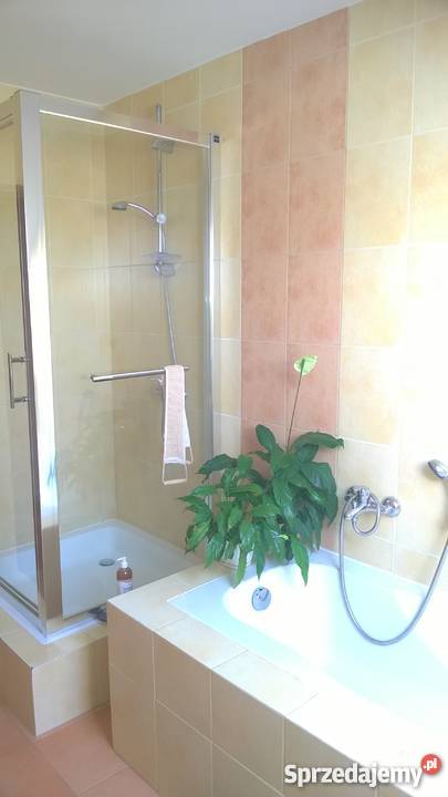 dom z dużym ogrodem żywopłot sprzedam