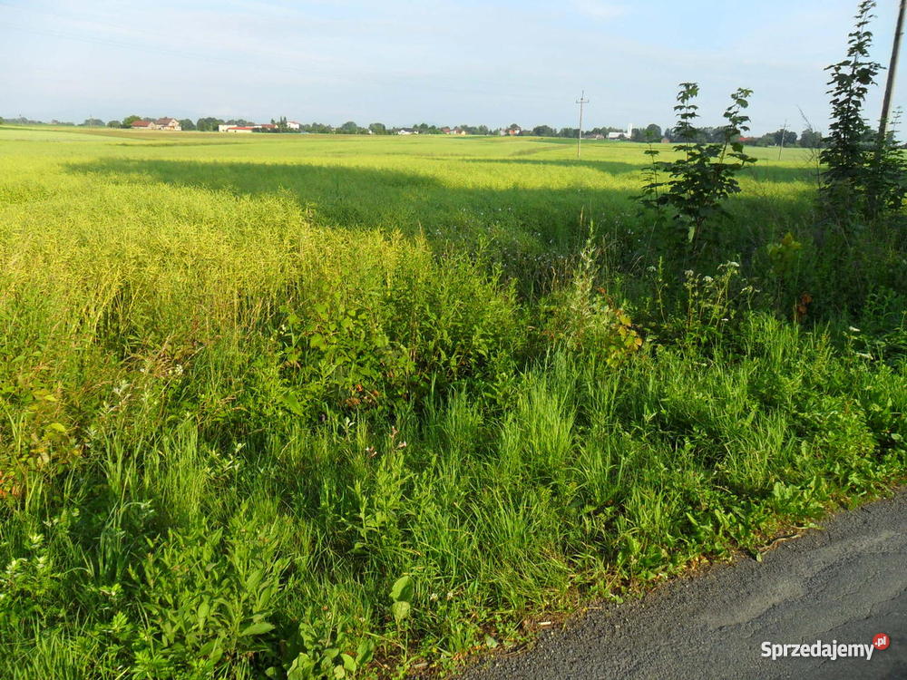 Działka budowlana PRUCHNA Cieszyn