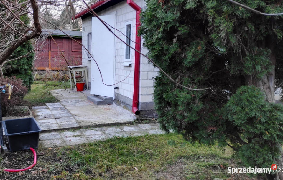 Działka rekreacyjna ROD Sprzedaż Ząbki