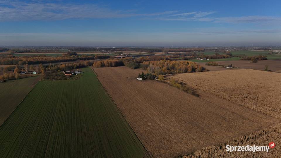 Gospodarstwo rolne Łanięta ziemia rolna 8 ha