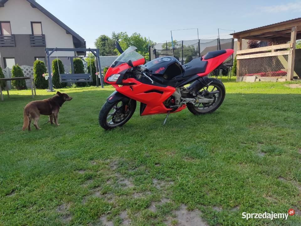 Aprilia rs 50 cc 2010 r nieuszkodzony podkarpackie Nienowice