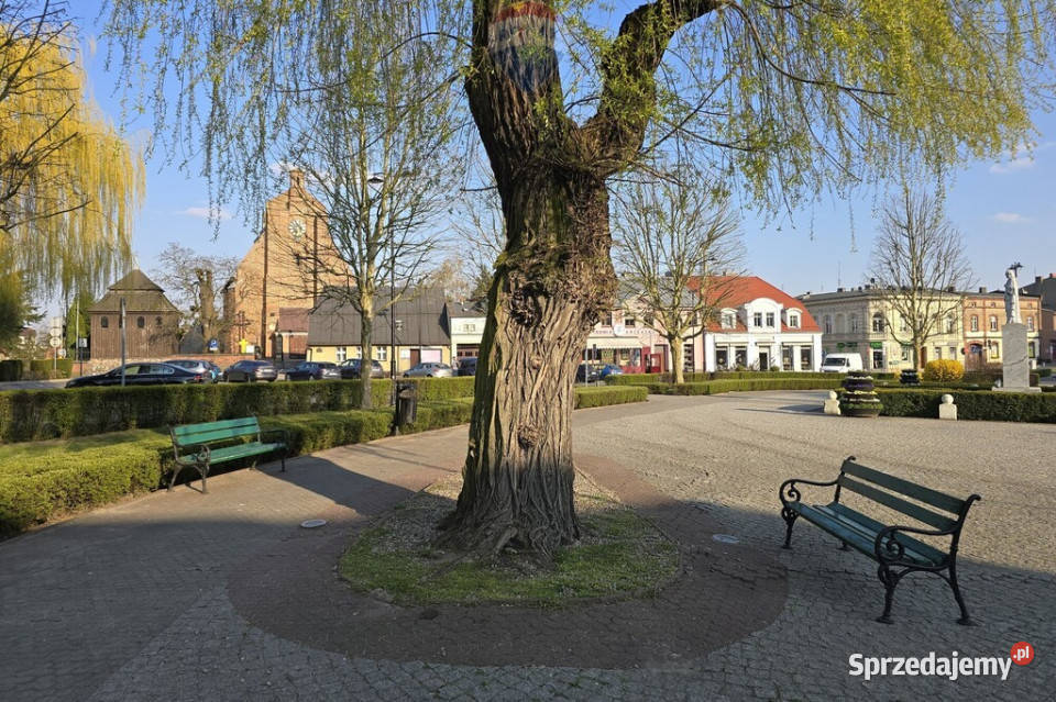 Wyjątkowe super kameralny budynek wielkopolskie Pobiedziska