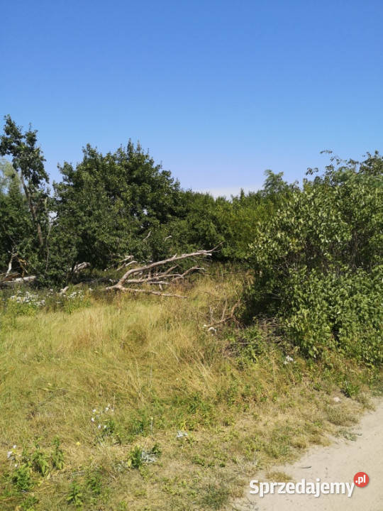 Sprzedam bezpośrednio działkę 5700m2 w otoczeniu kujawsko-pomorskie Teodorowo sprzedam