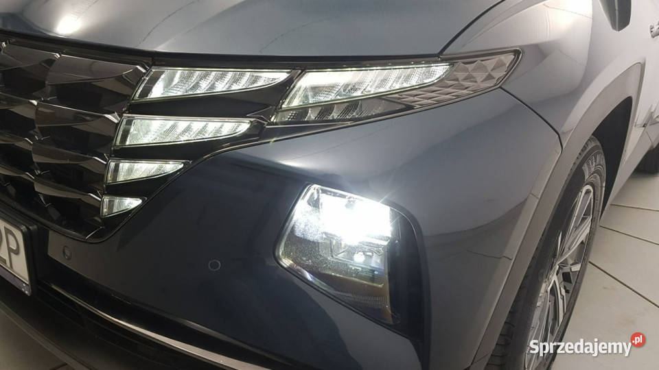 Hyundai Tucson 16 TGDi HEV Executive 4WD Z 4/5 Warszawa