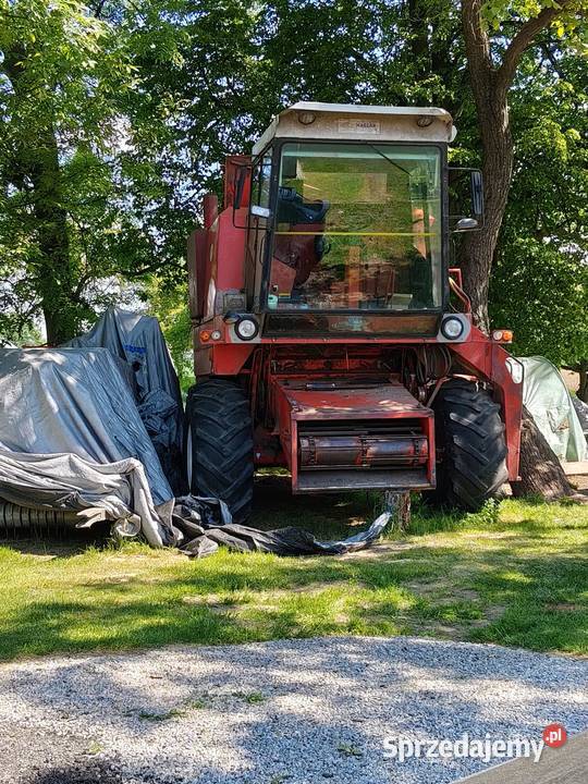 Bizon z 056 Bizon Rogóżno