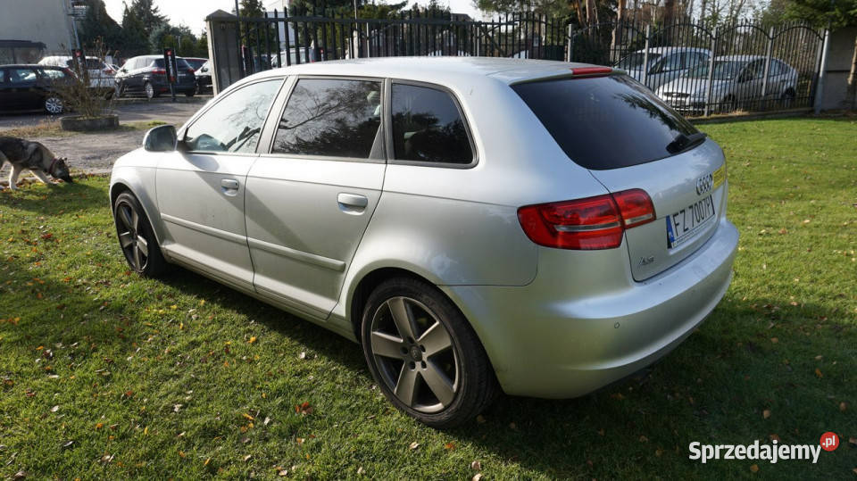 Audi A3 Sportback super stan Gwarancja 8P Zielona Góra