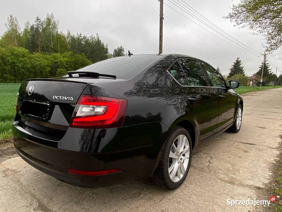 Skoda Octavia 15 150 DSG asystent parkowania Pruszcz Gdański