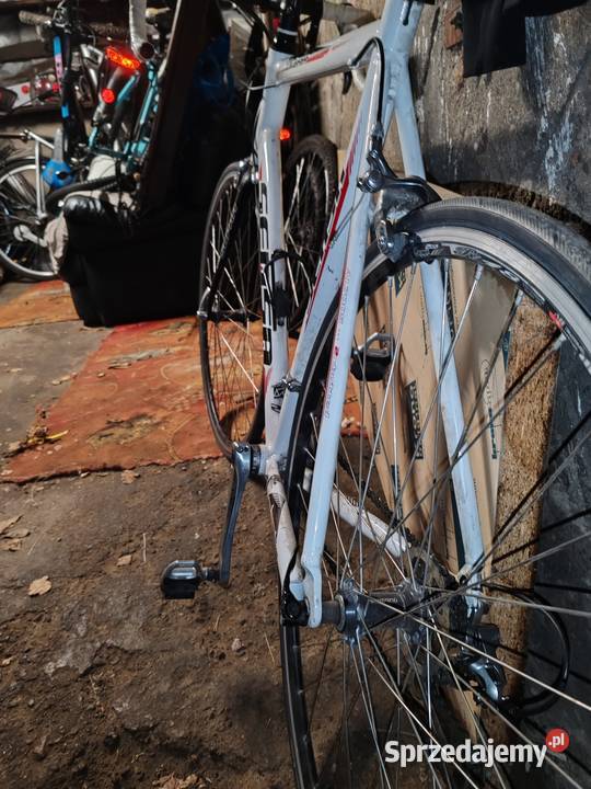 Rower Kolarski 2 sztuki Rowery i akcesoria Kamień Pomorski