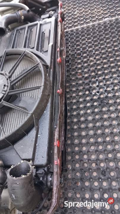 FORD FOCUS MK3 16 ECOBOOST PAS PRZEDNI KOMPLET Pasy przednie i tylne Zbierkowo