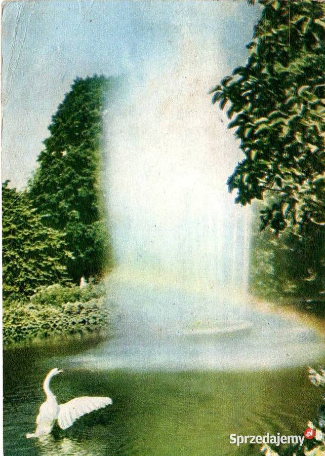 KRAKÓW SADZAWKA NA PLANTACH Krynki sprzedam