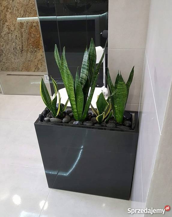 Glamour OSŁONKA Donica 55x55x20 LACOBEL BROKAT Pozostałe Łódź