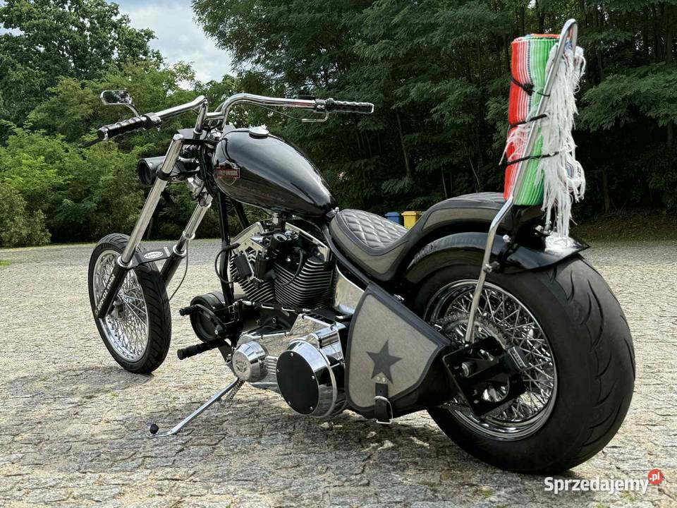 Harley Davidson Easy Rider Zamiana Brody