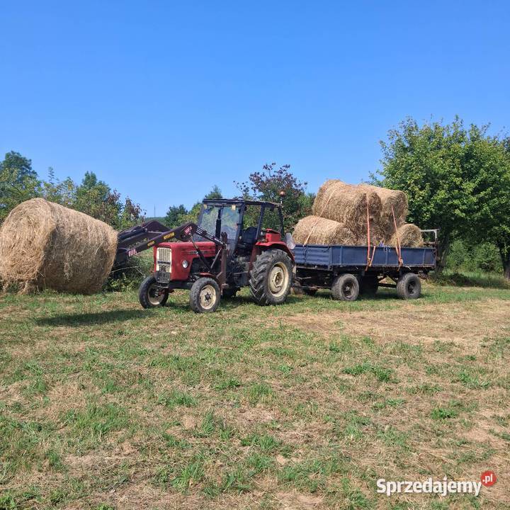 Sprzedam bele siana 120x120 spod flizu Trawy, słoma Teodorówka
