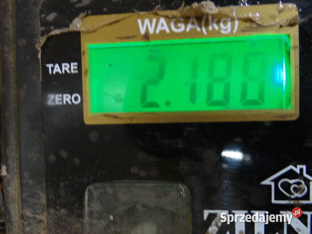 śruby śrubki ESKA 10 mm 2 org DDR Pozostałe Żary sprzedam