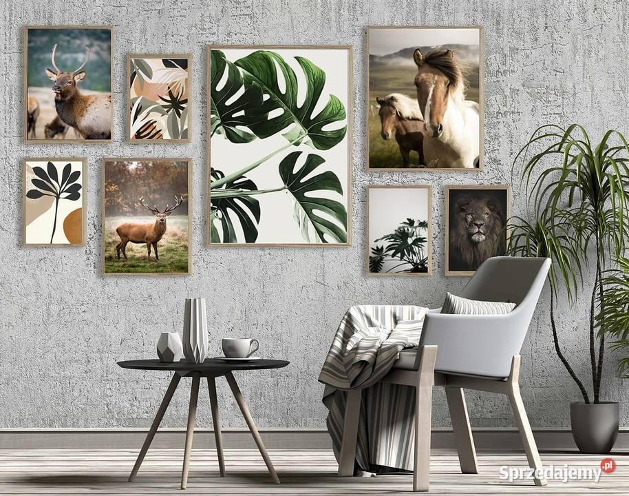 Promocja 20 Plakaty i Obrazy na ścianę Hit Katowice