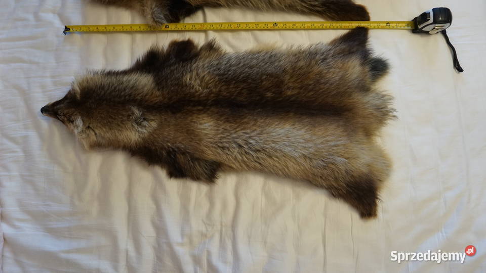 Jenot dwie piękne skóry mazowieckie Warszawa