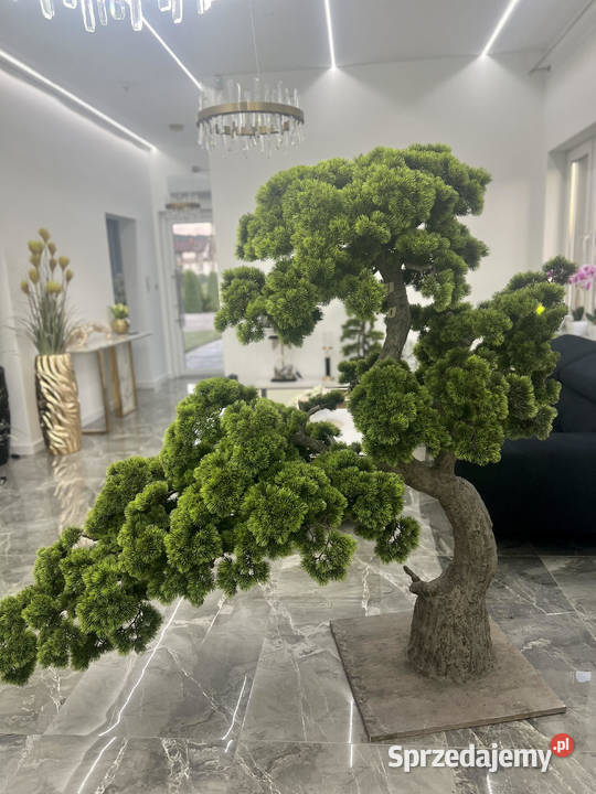 Sztuczne drzewko bonsai w doniczce żywe PREMIUM Rośliny Nowy Sącz sprzedam