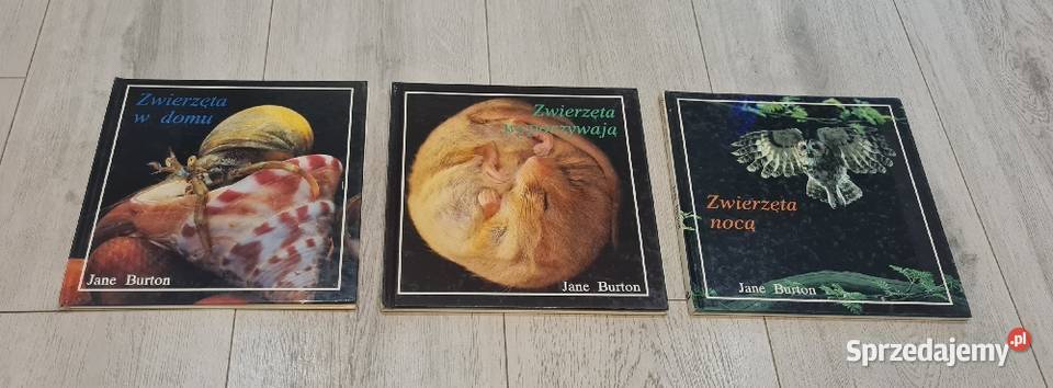 Książka zestaw Zwierzęta Łódź