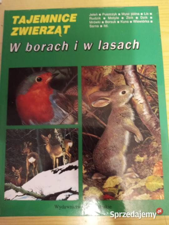 KSIĄŻKI RÓŻNE Kultura i Rozrywka Szczecinek sprzedam