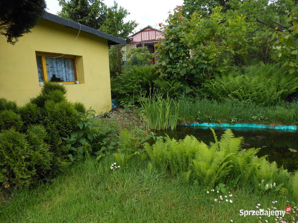 Ogródek działkowy Chorzów