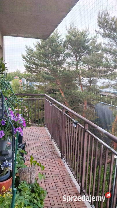 zamontować siatkę na balkon Warszawa Montaż