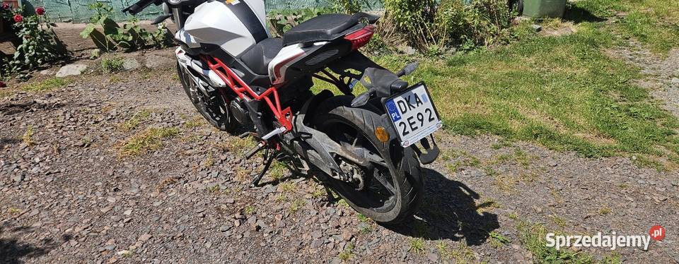 Benelli BN 125 2021 Pierwszy właściciel 15 227 dolnośląskie