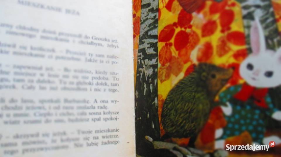 Wesołe lato HBechlerowa Zarembina Janczarski Łódź