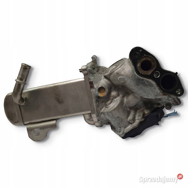 CHŁODNICA SPALIN EGR Ford Kuga 20 TDCI V29004027 Chełm