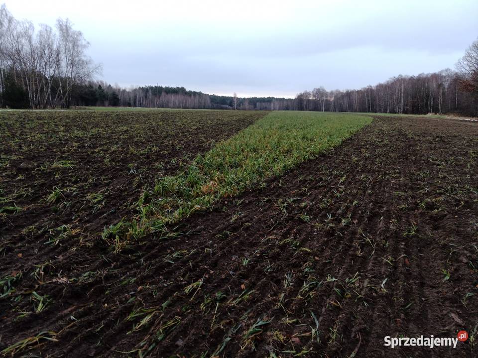 Kultywator uprawowo ścierniskowy Agrolift KUS Piszczac sprzedam