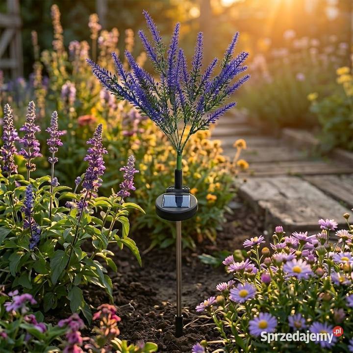 Lampka solarna Lawenda 3000K IP65 Starokrzepice