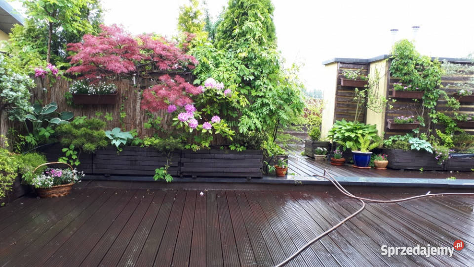 145m taras ogród na dachu wyjątkowe mieszkanie 3 Pruszków sprzedam