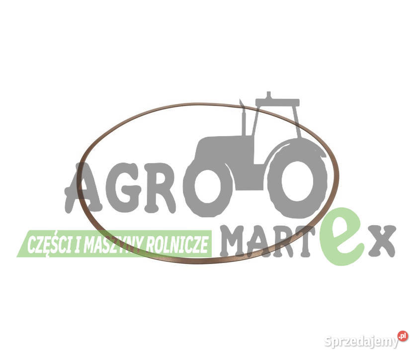 48056325 8603577 384317A155041229 T386855 Wichrów