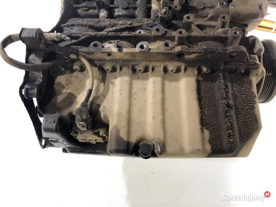 SILNIK VW 19 102 BRS 0315 TRANSPORTER T5 osobowe Motoryzacja