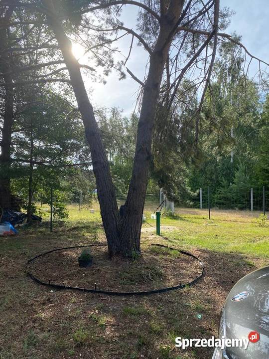 Wyjątkowa działka warunki zabw oazie Samogoszcz