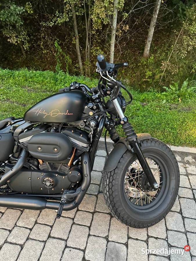 HarleyDavidson Iron 883 custom nieuszkodzony