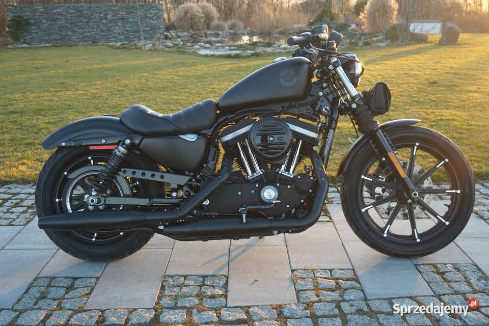 HarleyDavidson Sportster 883 IRON opolskie Strzelce Opolskie