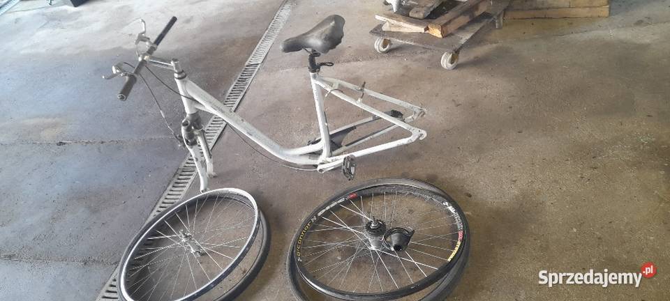 Rower Pegasus solero 28 Świebodzin