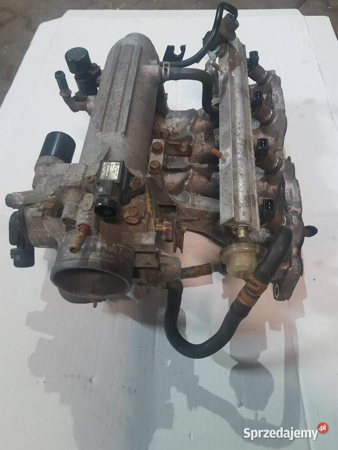 Kolektor d16z6 Czajków