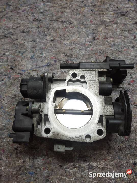 Peugeot Citroen przepustnica wielkopolskie