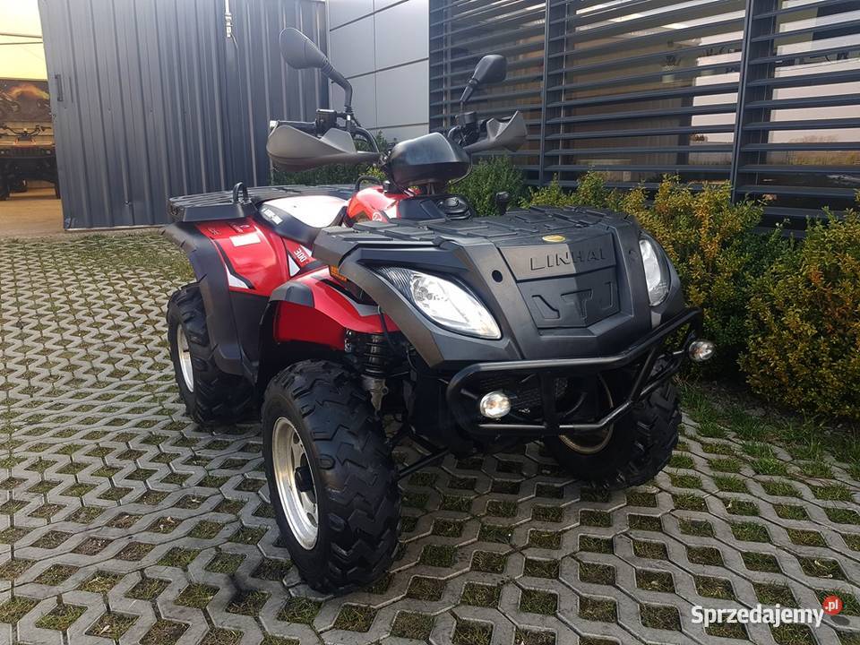 LINHAI MUDDY 300 Dostawa Serwis Kutno