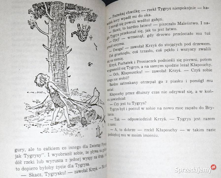 Chatka Puchatka Alan Alexander Milne Pozostałe Chełm sprzedam