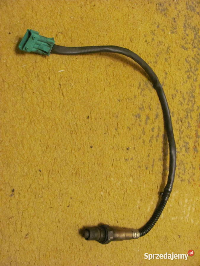 Sonda lambda Citroen Peugeot 307 tu5jp4 Bosch osobowe Albigowa