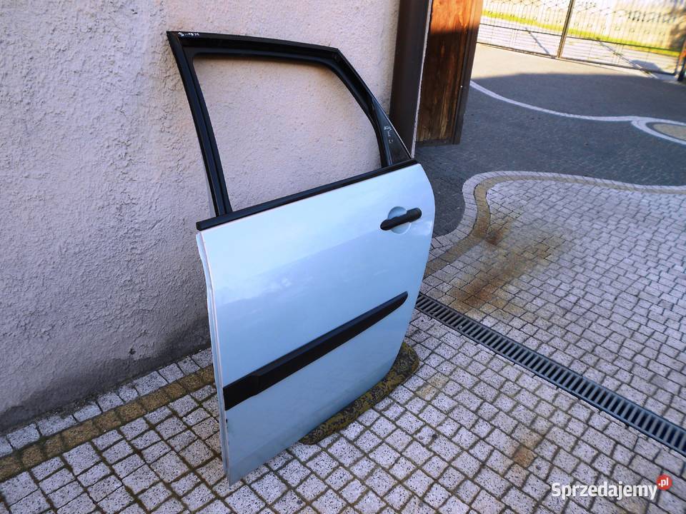 Drzwi lewy tył Renault Scenic II TED47 Bez rdzy Niegowonice